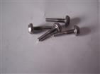 tainless steel beam rods screw with large head(non-standard screw)