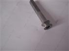 stainless steel non-standard type  screw