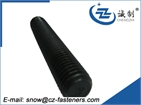 Hot sales for Threaded rod  from Chengzhi Fastener Manufacturer